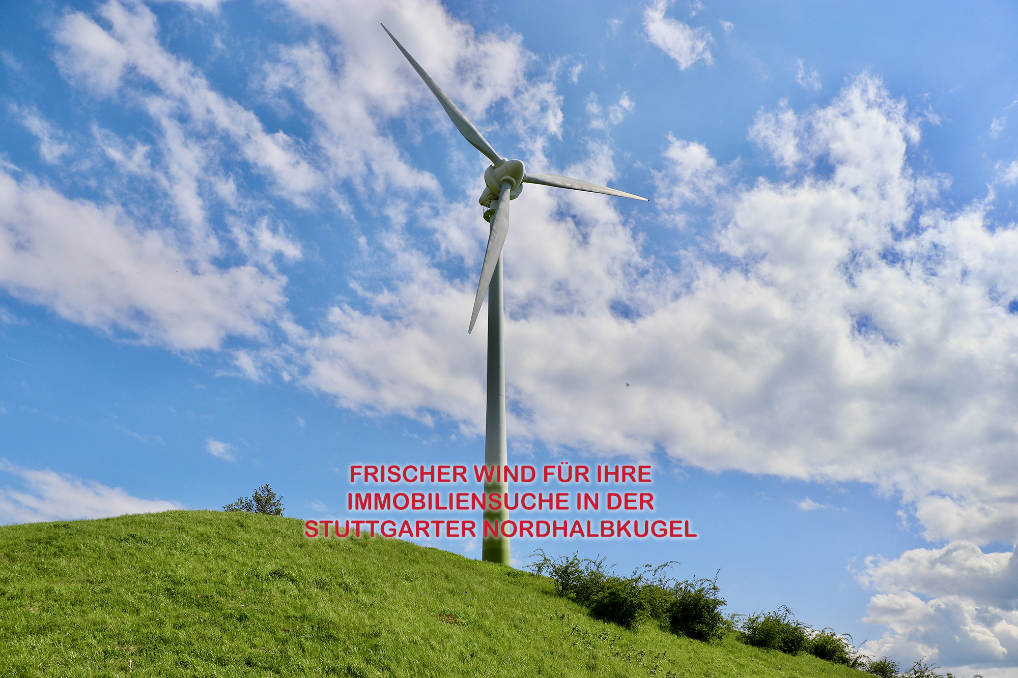 WANNER IMMOBILIEN