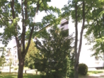 Südseite mit Grünanlage Bild 2 - Behagliche 4-ZIMMER-WOHNUNG mit Erbbaurecht, derzeit vermietet, mit 2 Balkonen und Blick ins Grüne in STUTTGART BERGHEIM
