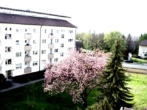 Eingangsseite mit Grünanlage - Behagliche 4-ZIMMER-WOHNUNG mit Erbbaurecht, derzeit vermietet, mit 2 Balkonen und Blick ins Grüne in STUTTGART BERGHEIM